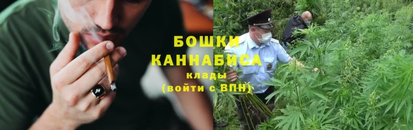 винт Богданович