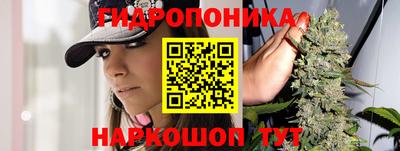 кокс Кингисепп