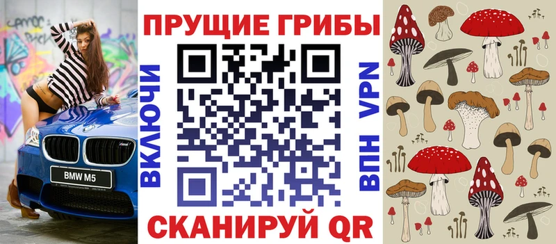 магазин продажи Ульяновск Галлюциногенные грибы прущие грибы