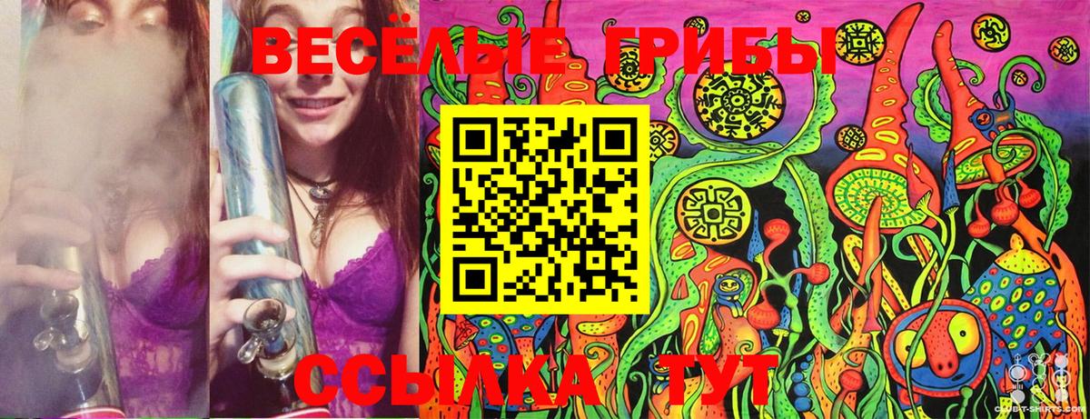 Псилоцибиновые грибы MAGIC MUSHROOMS Ульяновск